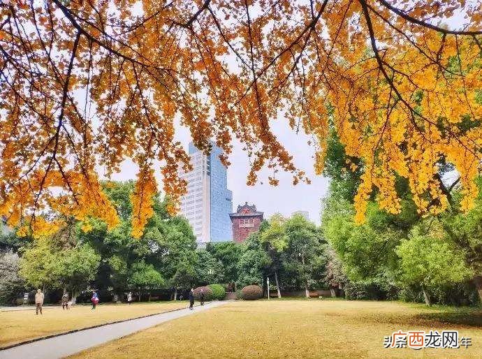 南开大学学科等级评估排名情况 南开大学a类学科名单