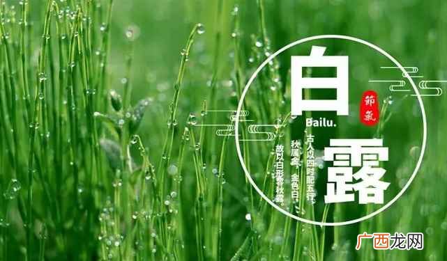 白露是几月几日