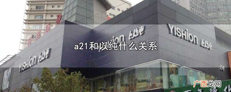 a21和以纯是线上和线下的关系 a21和以纯什么关系
