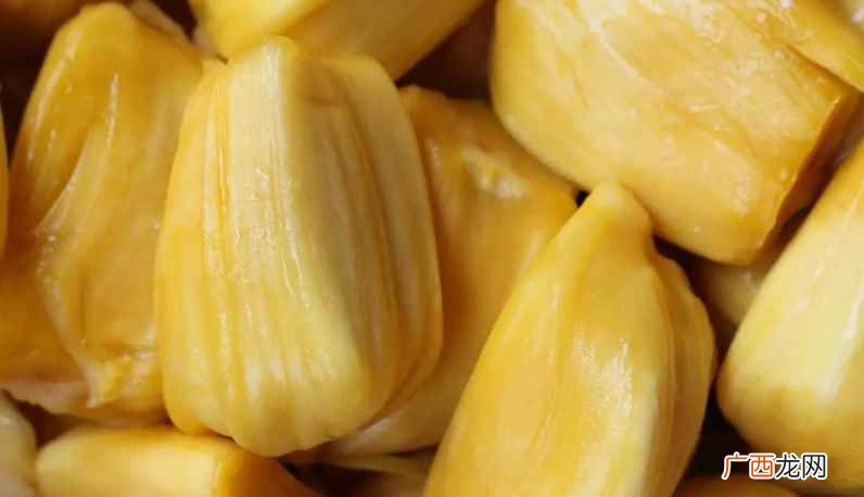 菠萝蜜一次可以吃几颗
