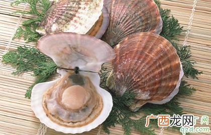 扇贝吃多少合适 扇贝一天吃多少合适