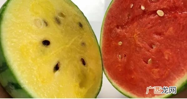黄色和红色西瓜哪个更有营养 ?红色和黄色西瓜哪个更有营养