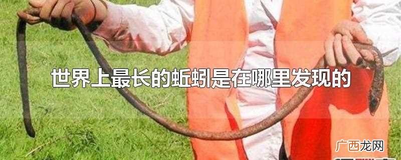 世界上最长的蚯蚓是在哪里 世界上最长的蚯蚓是在哪里发现的