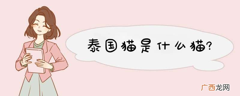 泰国猫是什么猫?