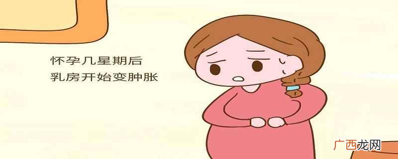 怀孕初期乳房有什么变化 孕初期乳房有什么变化