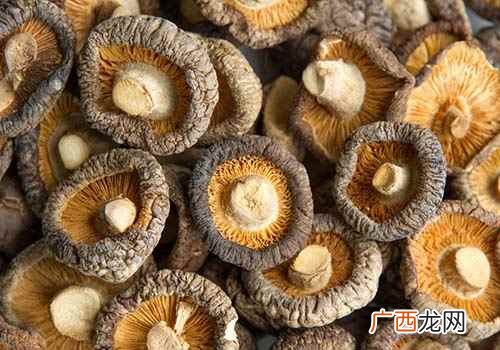 香菇的营养价值及其功效 香菇的营养价值及食用方法