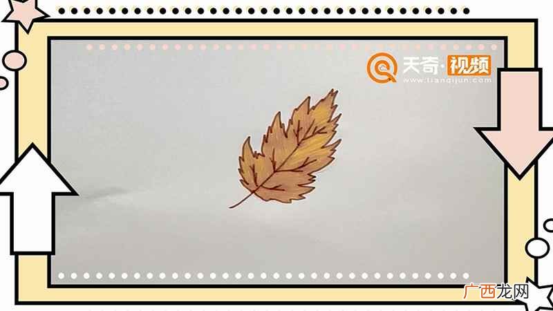 枫叶简笔画简单又漂亮 枫叶简笔画