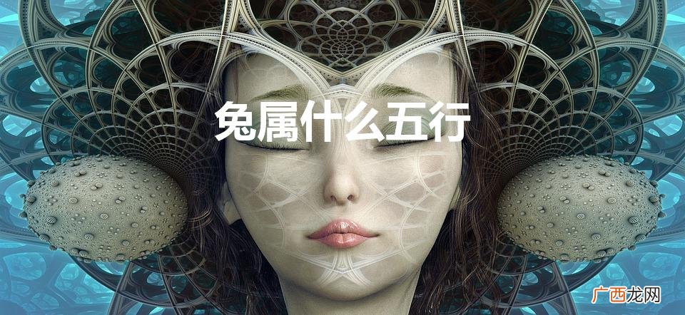 2023年兔属什么五行 兔属什么五行