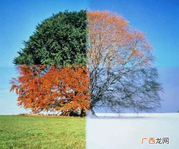 中国现代气象学上以连续5天平均气温在10°C以上为春季的开始 一季度有几个月