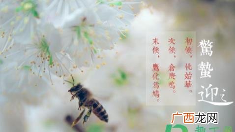 2022年惊蛰是几点几分 2022惊蛰几时几分几秒