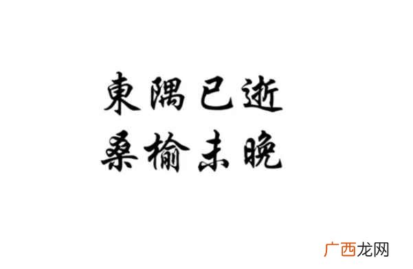 失之东隅收之桑榆意思是什么 东隅已逝桑榆非晚是什么意思