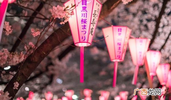日本的樱花季在几月 日本的樱花季