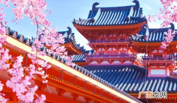 日本的樱花季在几月 日本的樱花季