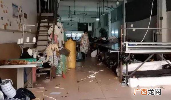 职业培训、就业机会和社会保障 ?拆违和产业转移中的广州“制衣村”