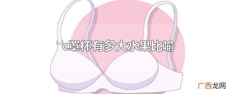 c罩杯的大小用水果来比喻 c罩杯有多大水果比喻