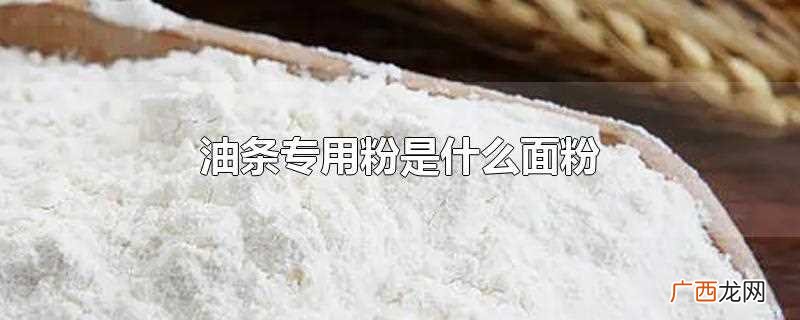 油条专用粉是什么 油条专用粉是什么面粉