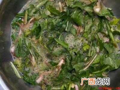 婆婆丁怎么吃