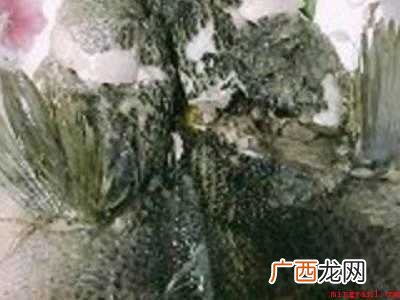怎样做清蒸鱼又嫩又好吃