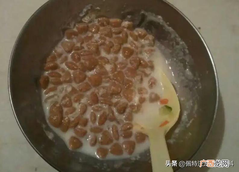 家里的小猫怎么喂养 三个月猫咪怎么喂食最合理
