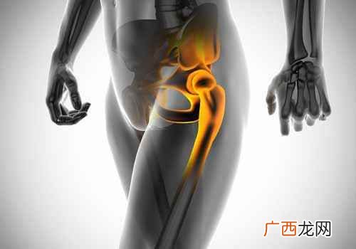 髋关节在哪个部位图片真人 髋关节在哪个部位