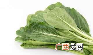 芥兰苗的做法 芥菜苗怎么做好吃