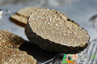 黑松露怎么保存珍贵的 黑松露要不要洗
