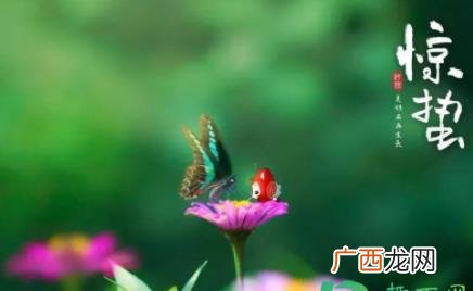 为啥每年惊蛰都是3月5日 惊蛰都是每年的3月5日吗