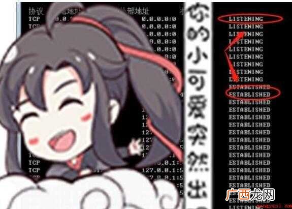 如何查看端口的命令