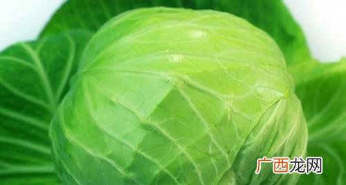 常吃高丽菜对身体有何益处 高丽菜减肥效果好吗
