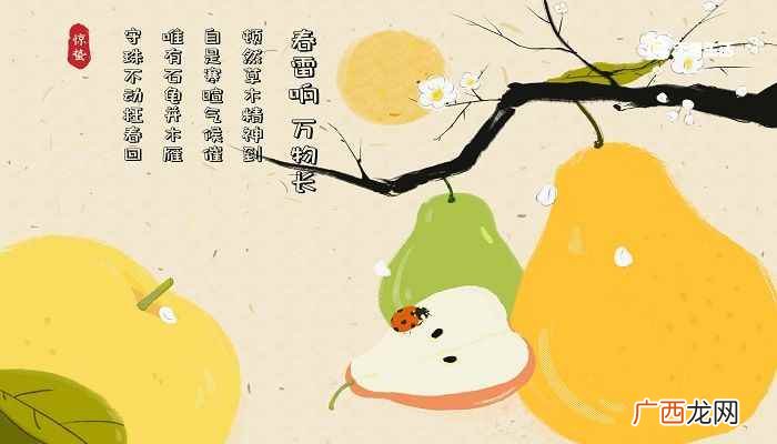 惊蛰后雪访徐孟坚不遇坐待甚久 描写惊蛰节气的古诗