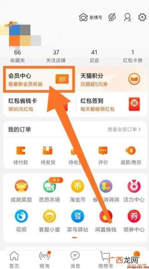 怎么查看淘气值的相关内容 怎么查看淘气值