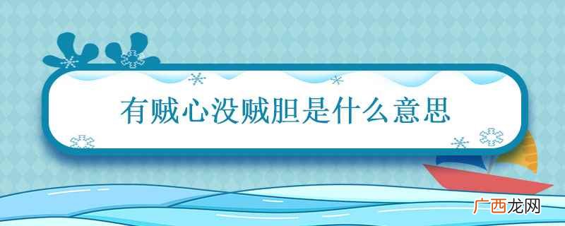 “有贼心没贼胆”一般形容 有贼心没贼胆是什么意思