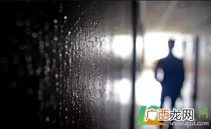 南宁回南天几月份开始有 2023南宁回南天几月份开始有
