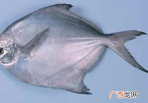 吃鲳鱼有什么好处和坏处 吃鲳鱼有什么好处