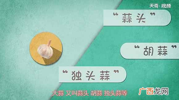 大蒜的功效与作用与主治 大蒜的功效与作用
