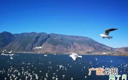 大理苍山洱海一日游攻略 大理游苍山洱海要几天
