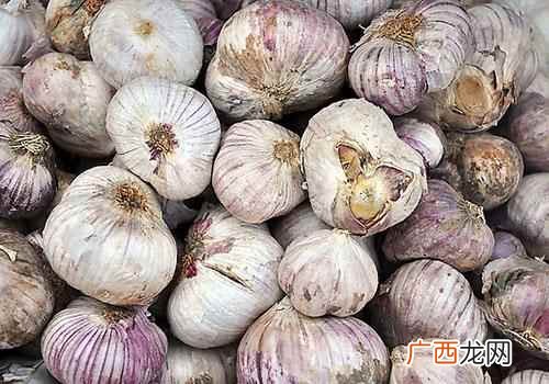 蜂蜜泡大蒜的功效与作用点 蜂蜜泡大蒜的功效与作用