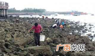 蛤沙青屿简介 蛤沙青屿著名景点