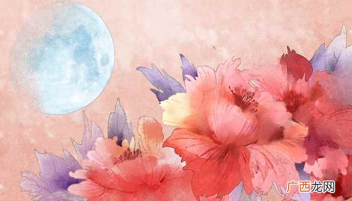云想衣裳花想容冰肌玉骨指的是谁 云想衣裳花想容指的是谁