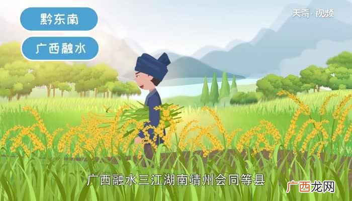 黔东方言苗族旧时称九股黑苗 苗族分为哪几种