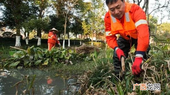 河道除草剂效果比较好的是草胺磷 河道除草剂哪个效果好