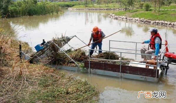 河道除草剂效果比较好的是草胺磷 河道除草剂哪个效果好