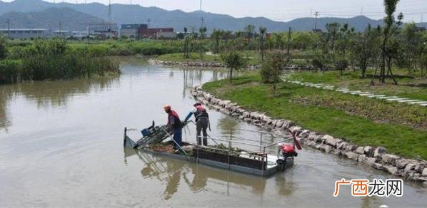 河道除草剂效果比较好的是草胺磷 河道除草剂哪个效果好