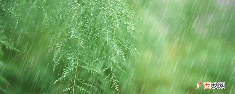 雨水节气是几九视具体情况而定 雨水节气是几九,一年中最冷的节气是几九