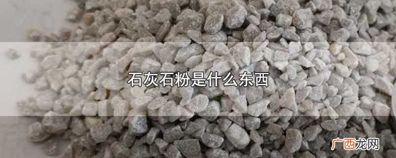 石灰石粉存放时应该保持干燥通风的环境 石灰石粉是什么东西