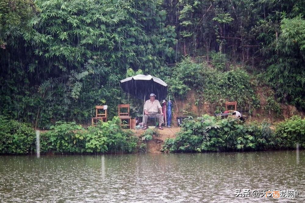 夏季常见饵料推荐及使用小技巧 夏天钓鱼用什么饵料最好