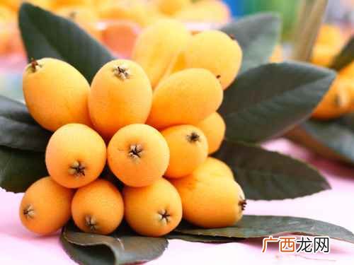 孕妇能吃枇杷吗初期 孕妇能吃枇杷吗