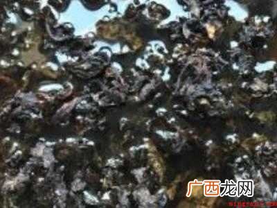 梅干菜怎么泡发