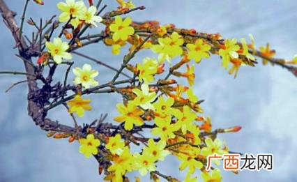 2023年立春躲春在什么时间 2023年立春怎么躲春