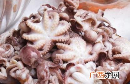 八爪鱼整个头可以吃吗 八爪鱼的头能整个吃吗